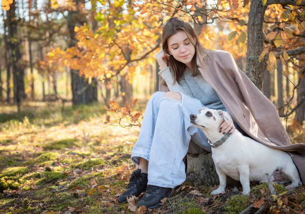 Ormanda köpeğiyle güzel bir genç kız. Sonbahar ormanı.  - Fotoğraf, Görsel