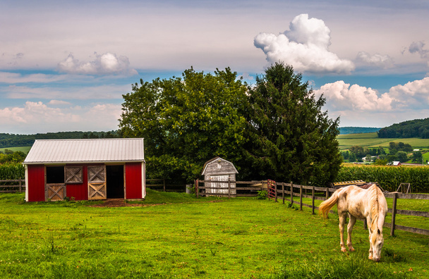 Horse and red stable in a field in Southern York County, Pennsyl - Foto, afbeelding
