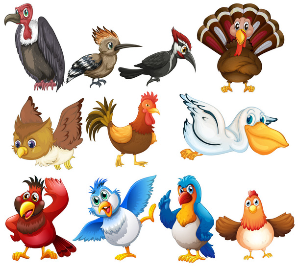 Bird collections - Vector, Image