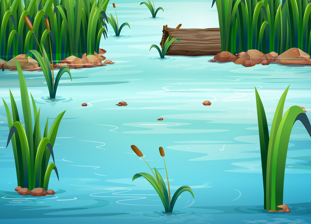 Pond - Vector, Image