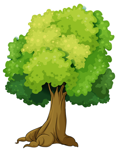 jedno drzewo - Wektor, obraz