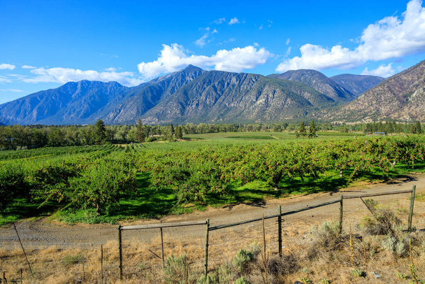The lower Similkameen Valley in British Columbia's arid southern interior is filled with orchards, ranches, and wineries, with an ethos of organic farming. - Photo, Image