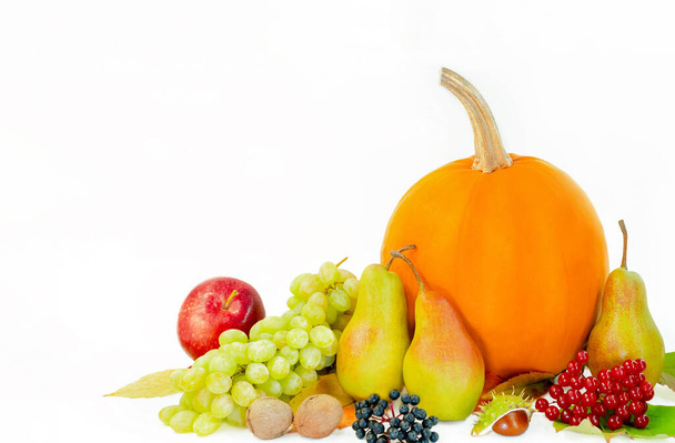 Herbsternte Kürbis mit Früchten, Nüssen und Beeren mit gelben Blättern, leere Fläche zum Einkleben - Foto, Bild