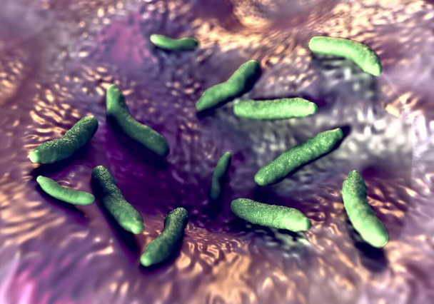 3d illüstrasyon - Çubuk Şeklinde Bakteri - Fotoğraf, Görsel