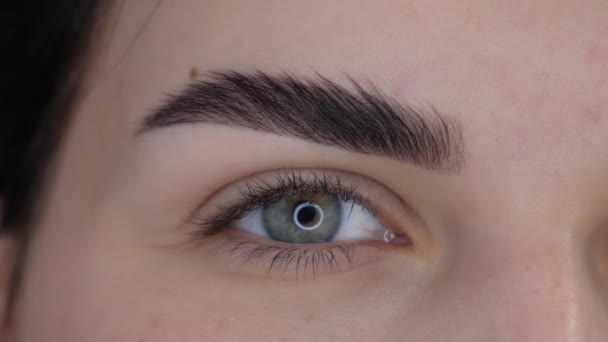 Eye eyebrow flirting - Footage, Video