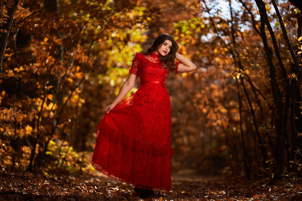 Full length glamorous portrait of a beautiful young woman in red dress in the oak forest - Φωτογραφία, εικόνα