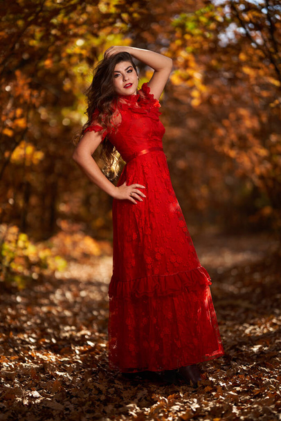 Full length glamorous portrait of a beautiful young woman in red dress in the oak forest - 写真・画像