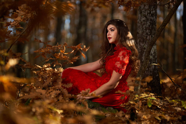 Full length glamorous portrait of a beautiful young woman in red dress in the oak forest - Foto, immagini