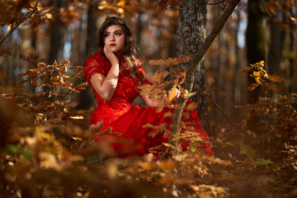 Full length glamorous portrait of a beautiful young woman in red dress in the oak forest - Foto, Imagem