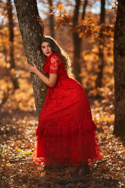 Full length glamorous portrait of a beautiful young woman in red dress in the oak forest - Photo, Image