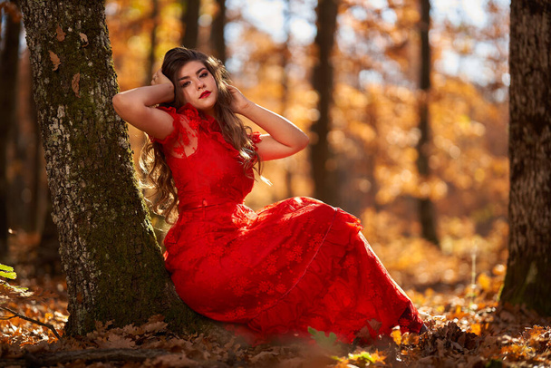 Full length glamorous portrait of a beautiful young woman in red dress in the oak forest - 写真・画像