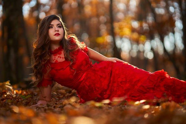 Full length glamorous portrait of a beautiful young woman in red dress in the oak forest - Foto, immagini