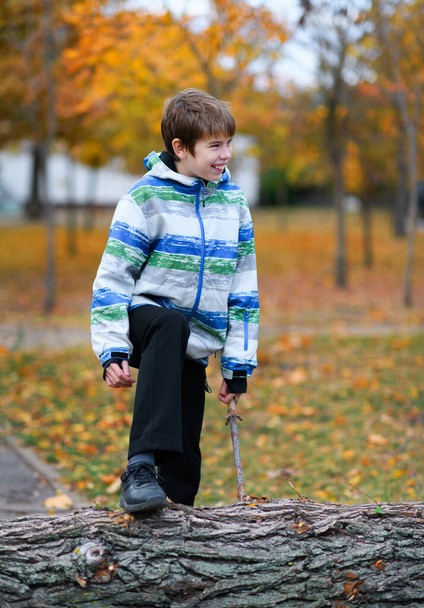 Porträt eines Jungen in einem herbstlichen Park. Das Kind steht auf einem Baumstamm und spielt mit einem Zweig - Foto, Bild