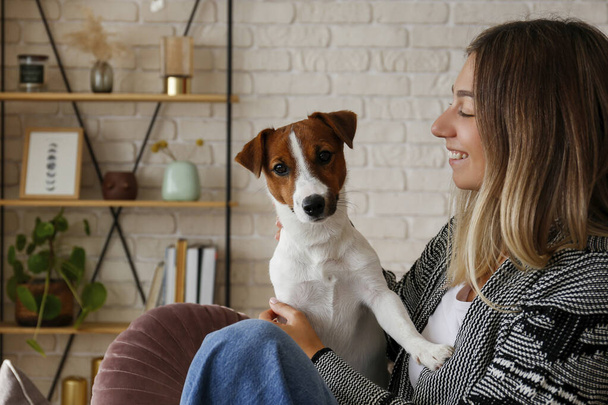 Portrait of young beautiful hipster woman playing with her adorable jack russell terrier puppy on the couch. Loving girl with her dog having fun. Background, close up, copy space - Fotó, kép