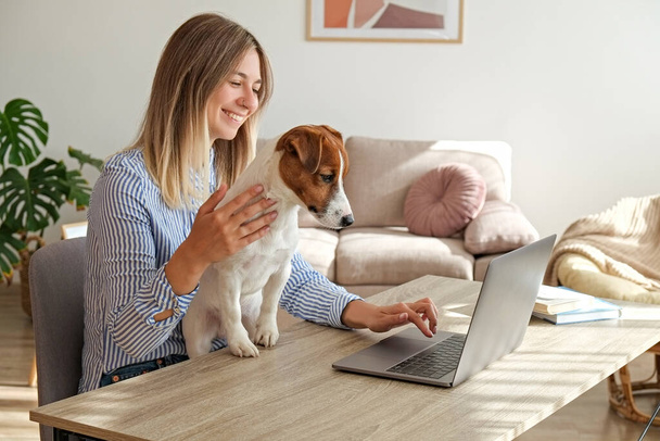 Young beautiful woman sitting by the table freelancing at home in the living room. Female working from comfort of her home with jack russell terrier puppy. Interior, background, close up, copy space. - 写真・画像