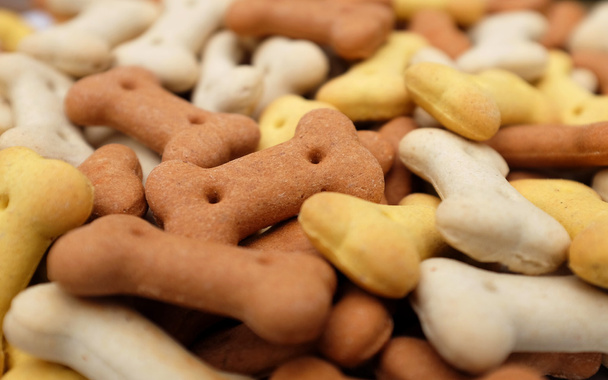 Close-up of dried dog food  - Фото, изображение