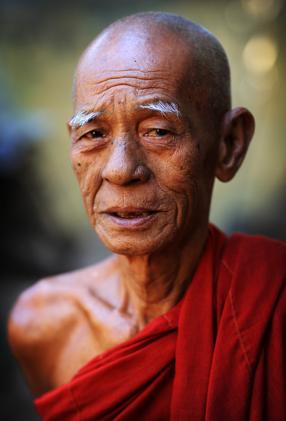 An unidentified Burmese Buddhist monk - Zdjęcie, obraz