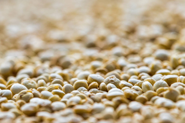 Uncooked white quinoa seeds background. Food texture. - Foto, afbeelding