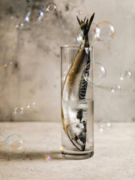 Mackerel Fish in the glass with water and bubbles  - Fotó, kép