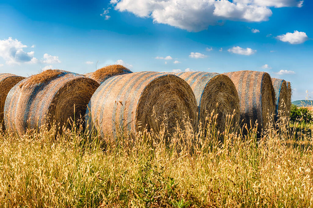 Hay bales on the field after harvest, countryside landscape in Italy - Photo, Image