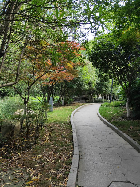 gyönyörű őszi park a városban - Fotó, kép