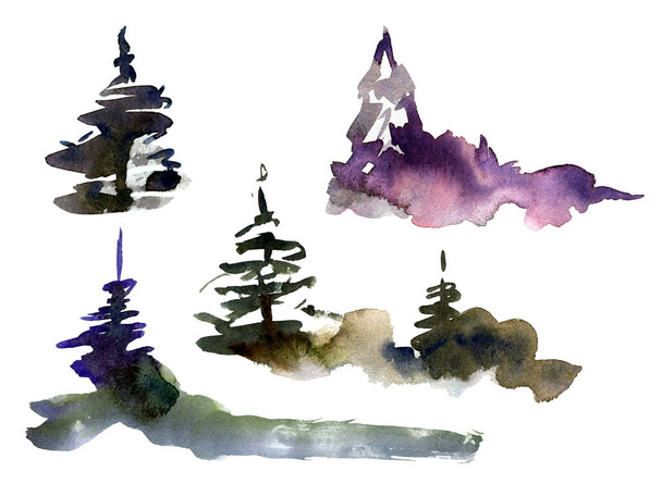 Watercolor hand painted stains, evergreen trees. - Foto, Bild