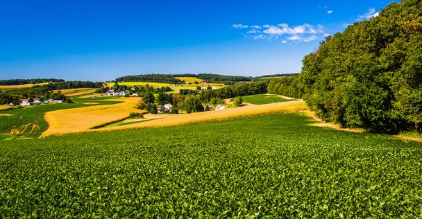 View of rolling hills and farm fields in rural York County, Penn - Foto, imagen