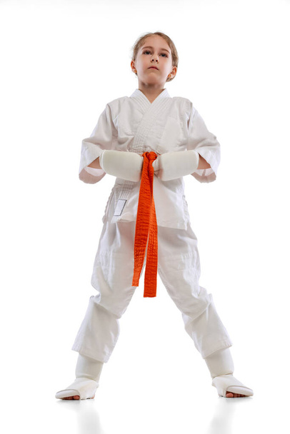 Full-length portrait of little girl, young karate posing isolated over white background. Concept of sport, education, skills - Foto, imagen