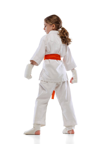 Back view of little girl, young karate posing isolated over white background. Concept of sport, education, skills - Foto, imagen