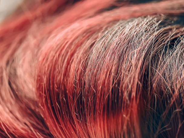 Lähikuva trendit säikeet kanekalon tekohiukset punertava väri - Valokuva, kuva