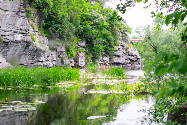 piękny rzeka krajobraz lato kopia przestrzeń tapety - Zdjęcie, obraz