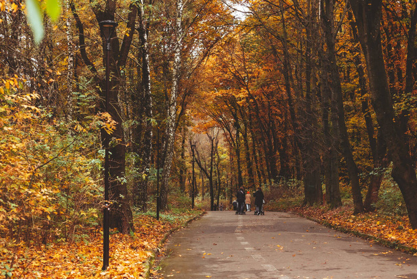 Lviv, Ukraine - November 2, 2020: people walking outdoors by autumn city park fall season copy space - Foto, Imagen