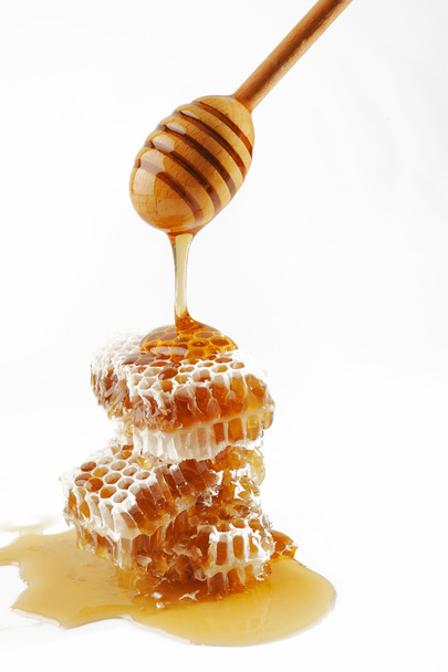 Bienenwaben - Foto, Bild