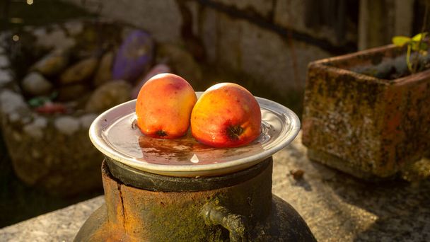 два красных яблока на белой тарелке с дождевой водой - Фото, изображение