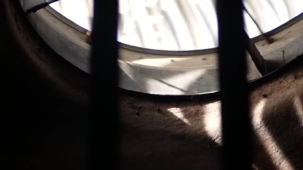 primer plano del ventilador en el techo durante la filmación de hilado - Imágenes, Vídeo