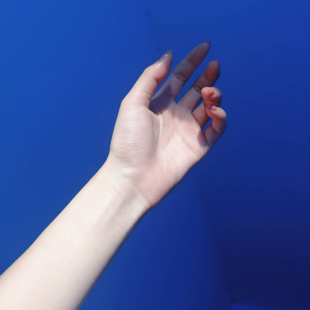 hand of woman holding blue and white manicure on a turquoise background - Fotoğraf, Görsel