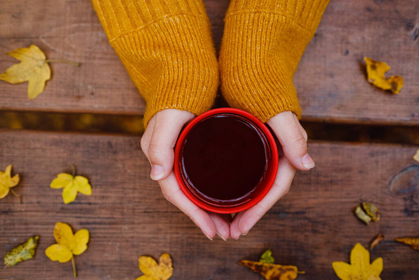 Bir fincan sıcak çay, dişilerin ellerinde, ahşap sonbaharda. - Fotoğraf, Görsel