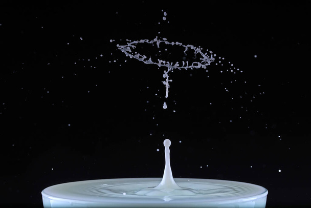 Капля молока падает в чашку - Фото, изображение