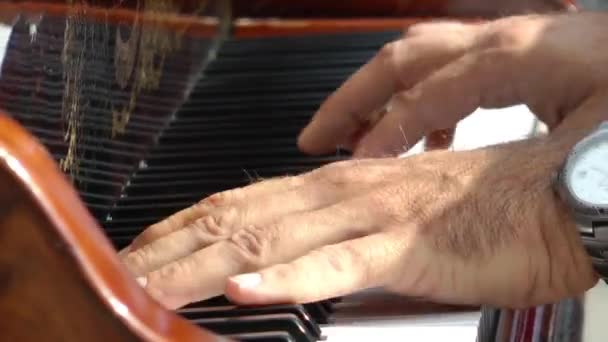 Soittaa pianoa
 - Materiaali, video