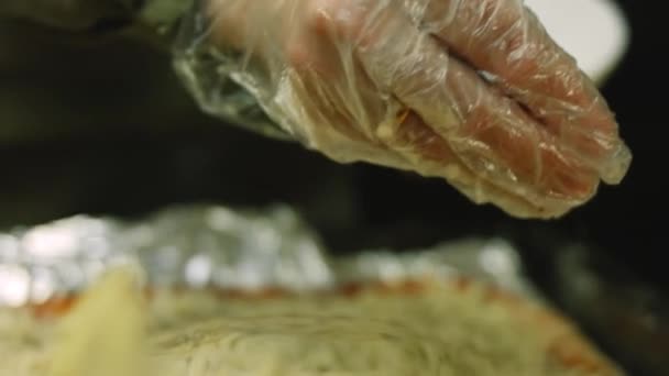 Albahaca seca prensada en pizza de Nueva York - Imágenes, Vídeo