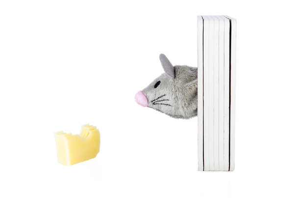 oyuncak fare ile üzerine beyaz izole peynir - Fotoğraf, Görsel