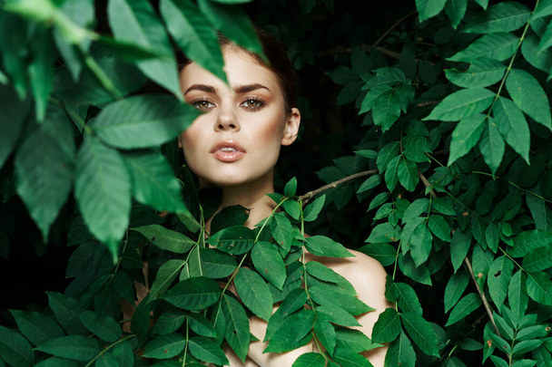 portrait of a woman Cosmetology nature green leaves glamor Lifestyle - Foto, immagini