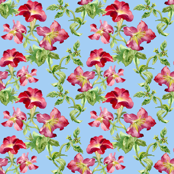 Petunia flowers background - Photo, Image