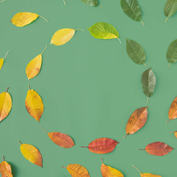 Красные, зеленые и желтые листья образуют круг, как движение жизни или цикл года концепции на зеленом фоне в плоской лежали - Фото, изображение