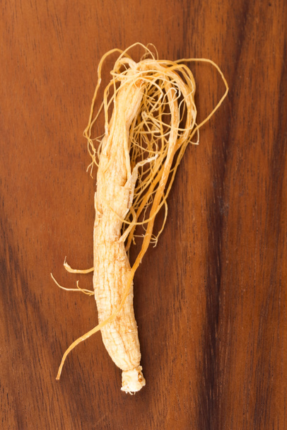 kořeny ginsengu - Fotografie, Obrázek