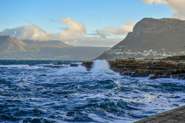 Cape Town Güney Afrika 'da Kalk Körfezi Limanı - Fotoğraf, Görsel