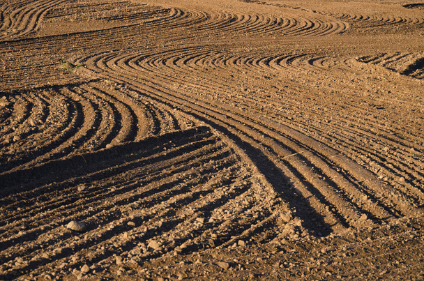 ploughed cultivated farm field soil background - Photo, Image