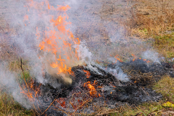 Waldbrand auf Feld nach Ernte brennender trockener Graswiese wegen Bodenanreicherung mit natürlichem Aschendünger und Umweltverschmutzung - Foto, Bild
