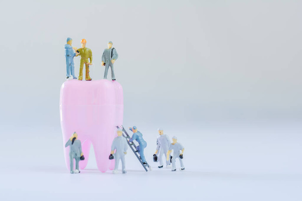 Persone in miniatura, modello piccolo figura umana pulito dente rosa con spazio copia. Concetto medico e dentale. Lavoro di squadra sulle cure dentistiche. - Foto, immagini