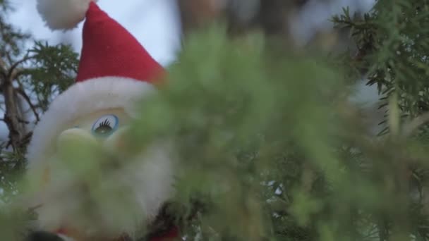Nauwere blik van de rode hoed witte baard kabouter speelgoed in Rovaniemi Finland.4k - Video